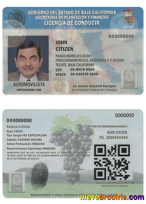 Mexico Baja California driving license